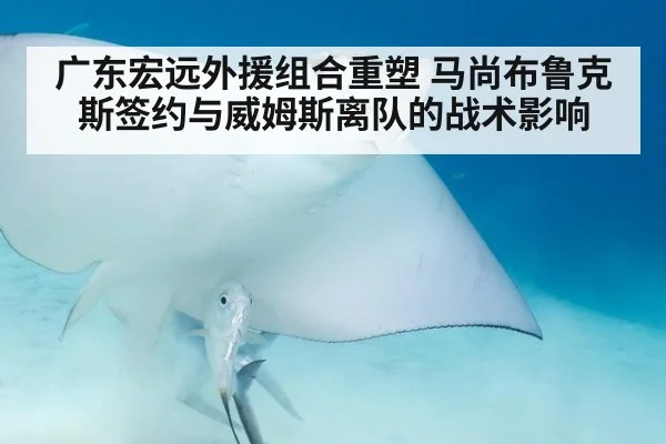 广东宏远外援组合重塑 马尚布鲁克斯签约与威姆斯离队的战术影响
